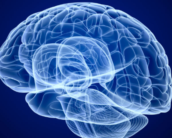 Foods for Brain Health