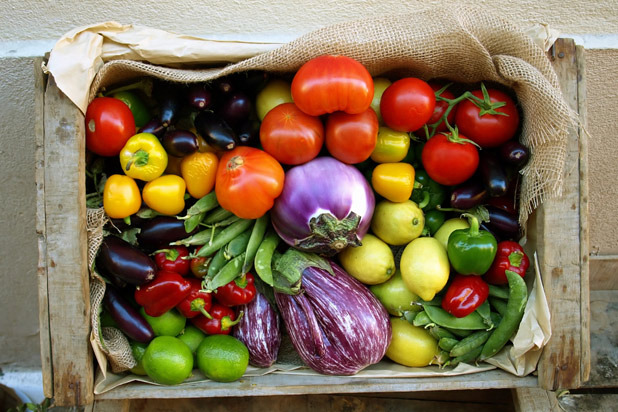 Rainbow Diet 