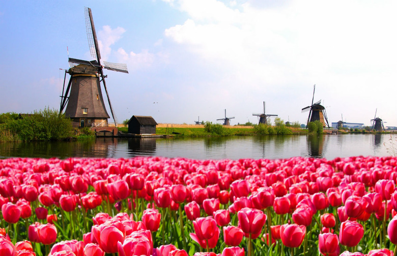 The Netherlands, 90%
