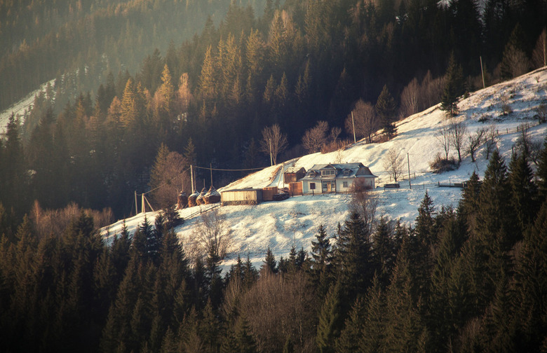 Medivnyk, Ukraine
