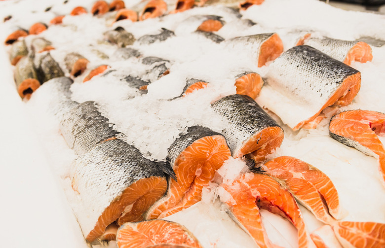 Salmon
