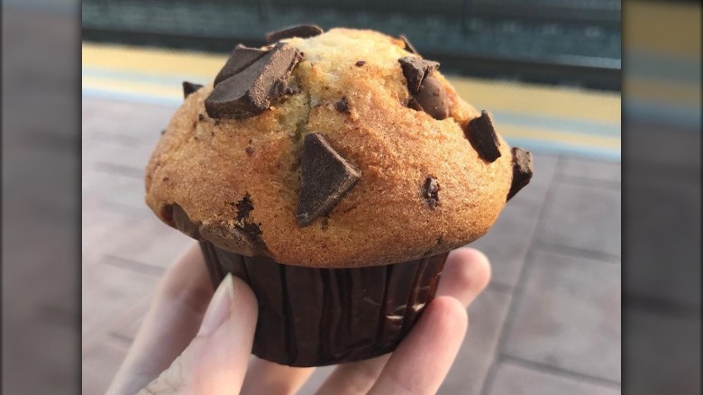 Chocolate Chip Muffin