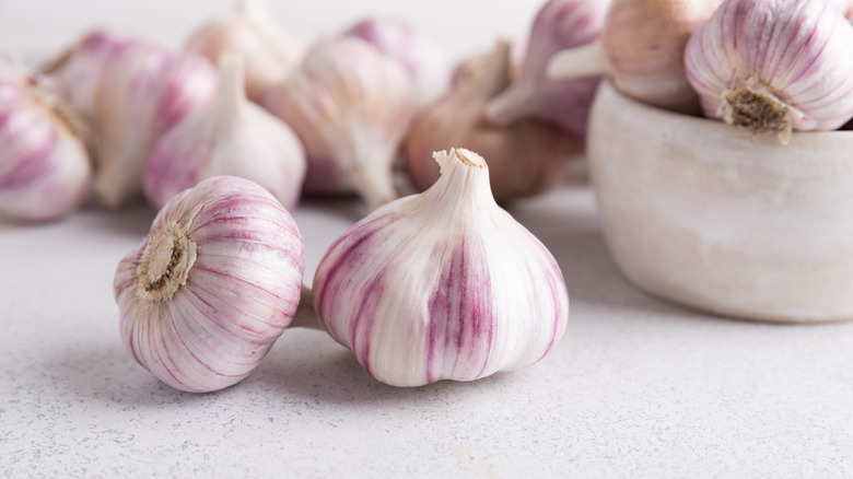 Bulbs of garlic