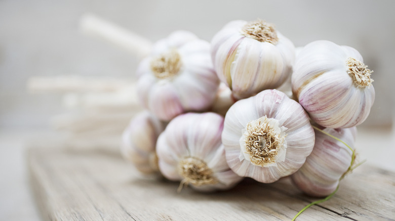 A bunch of garlic bulbs