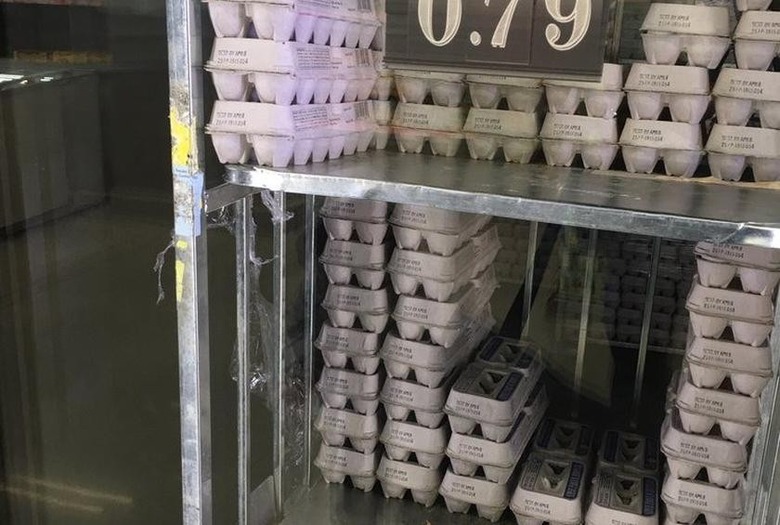 Eggs