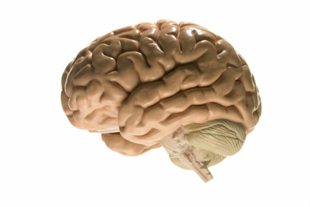 Preventing Alzheimer's 