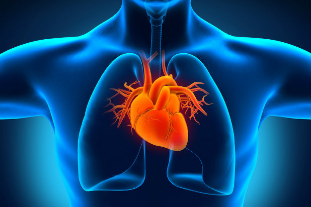 Heart Health
