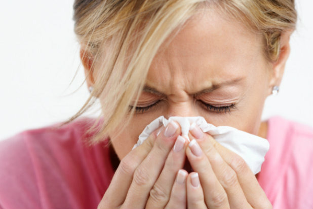 Strengthens Immune System
