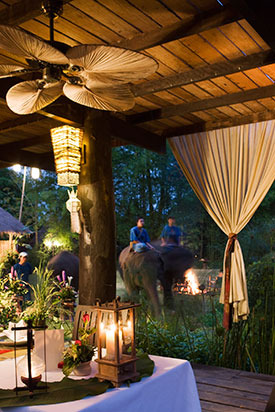 In an Elephant Sanctuary: Anantara Golden Triangle Resort & Spa, Thailand