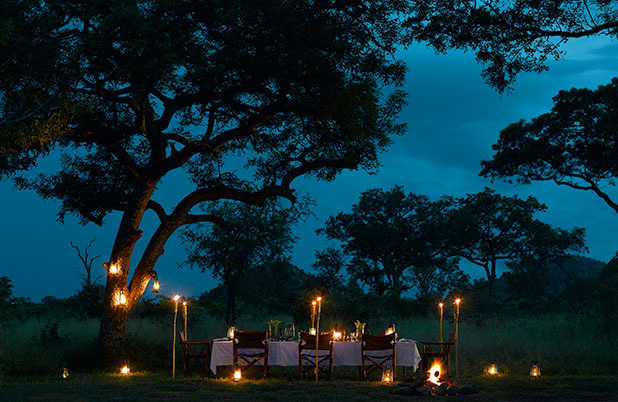 In the African Bush: Ulusaba Private Game Reserve, South Africa
