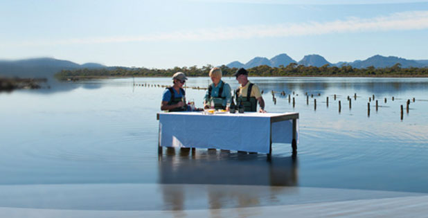 In a Wetlands Sanctuary: Saffire-Freycinet, Tasmania