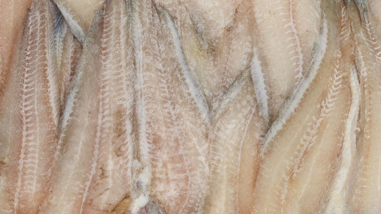 A pile of frozen catfish filets