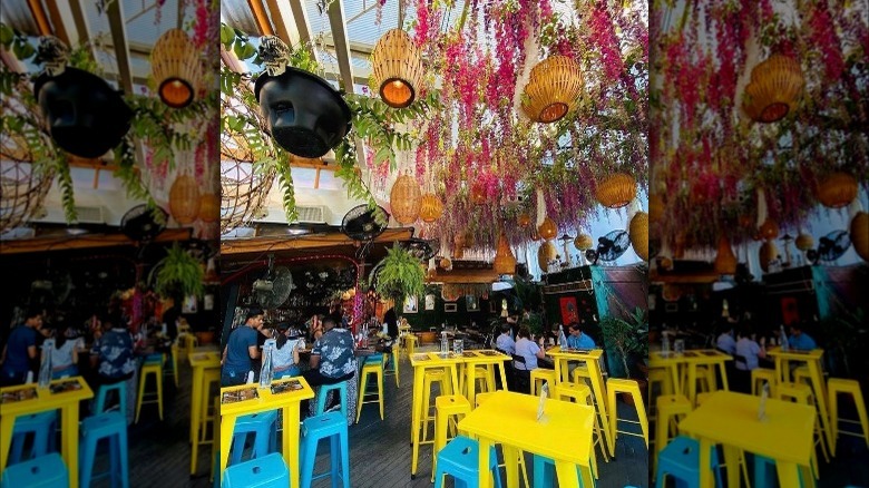 El Techo rooftop bar