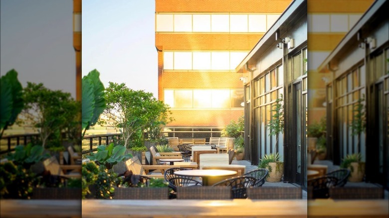 Wild Days rooftop bar