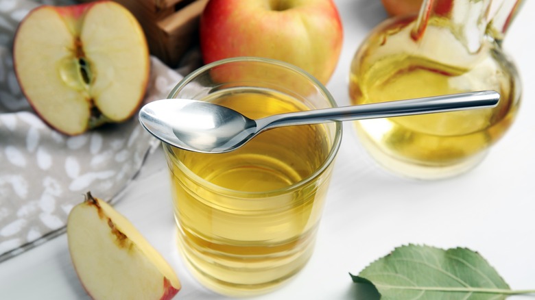 Apple cider vinegar and fresh apples