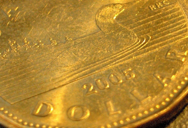 "Loonie"