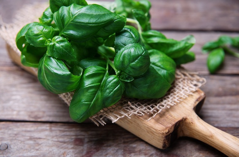  Basil