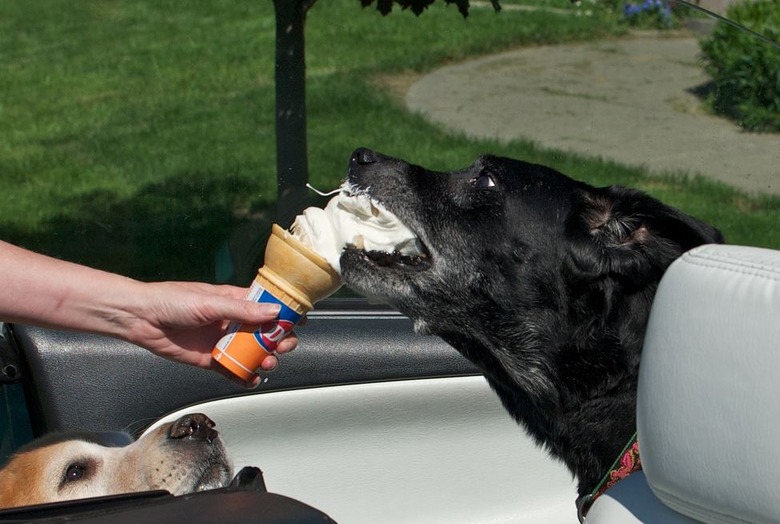 The Founders Also Invented Soft Serve