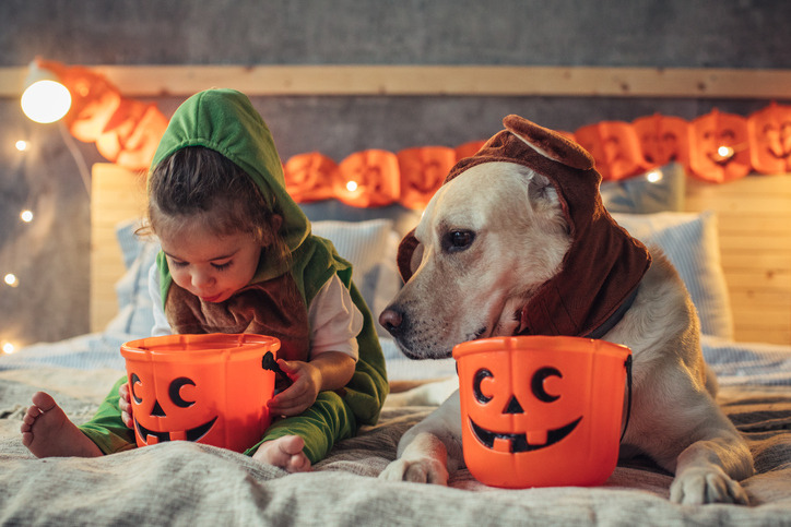 10 Things You Should Never Do on Halloween
