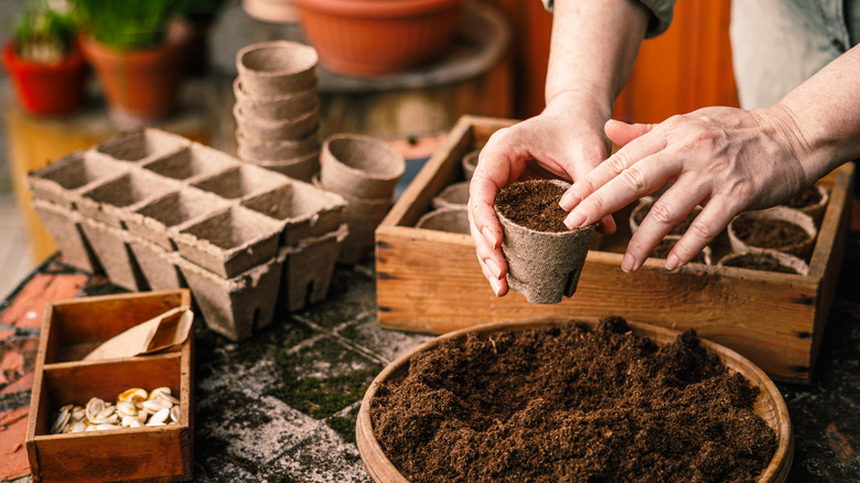 A close-up of hands filling small pots with soil