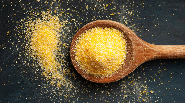 Wooden spoon filled with dried polenta