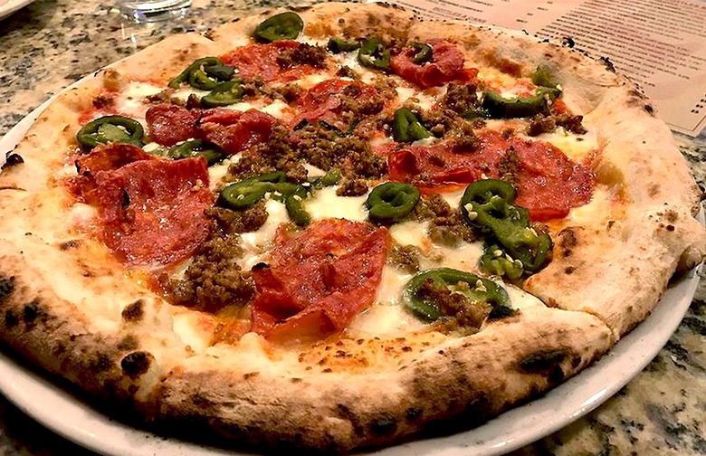 #55 Zoli, Cane Rosso (Dallas, Texas)