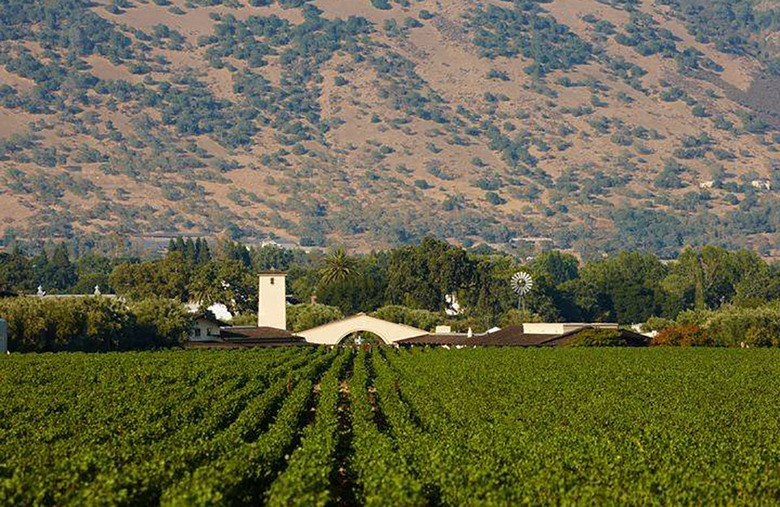 64. Robert Mondavi Winery, St. Helena, Calif.