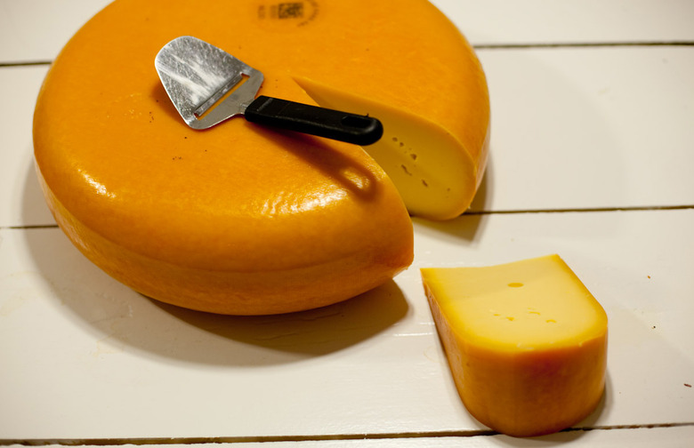 Gouda