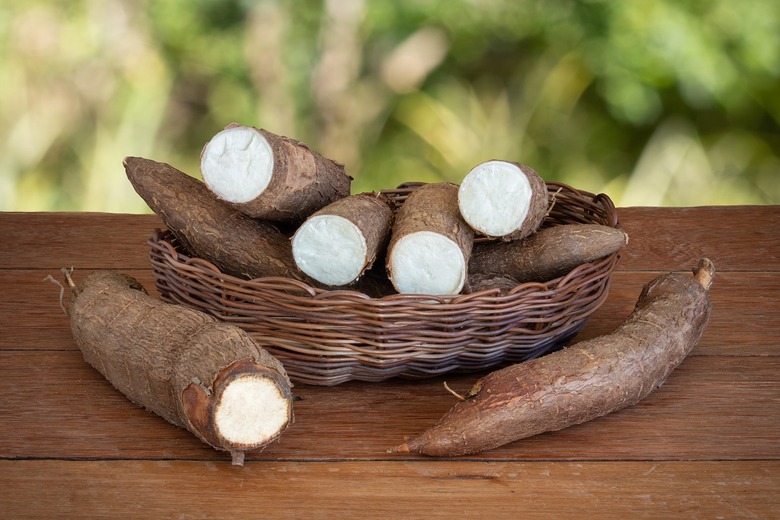 Cassava