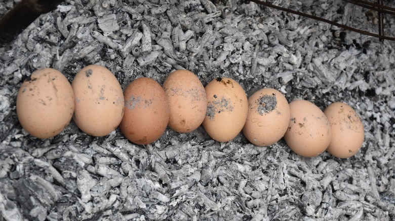 line of ash roasted eggs