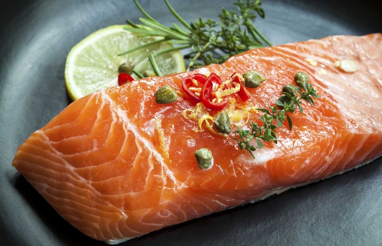 Salmon