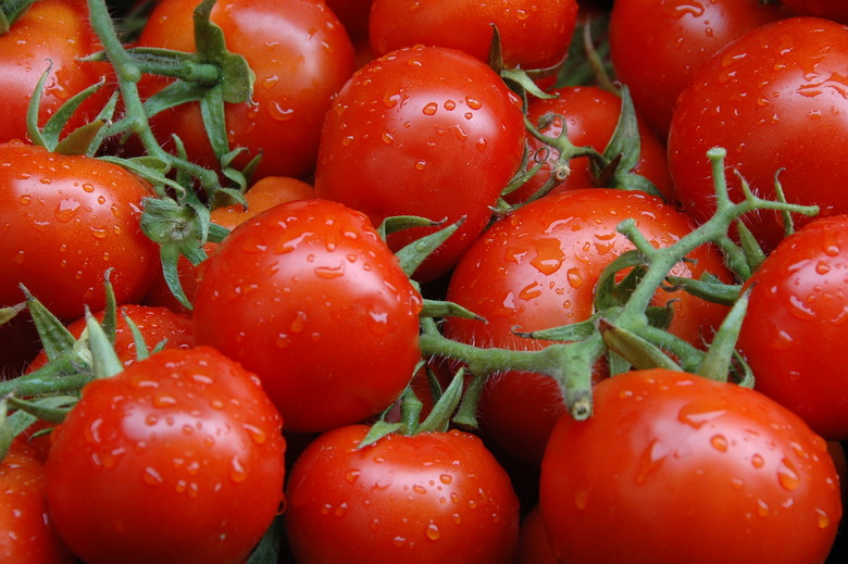 Plant-Based Diet Difficulties