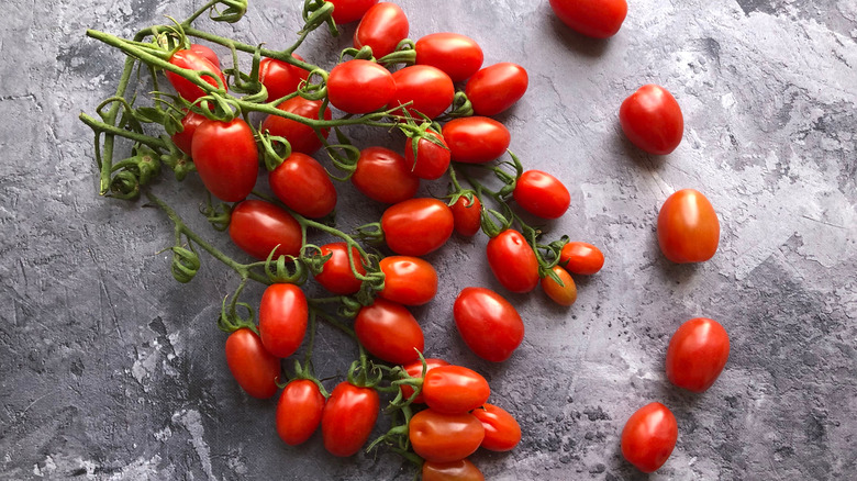 Datterini tomatoes on the vine