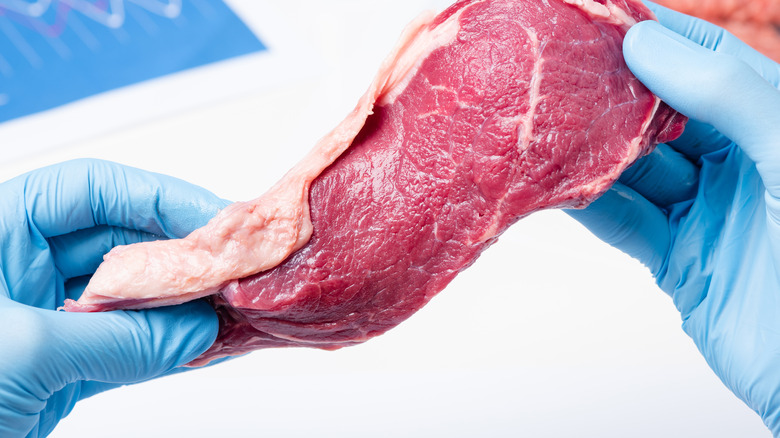 inspecting meat