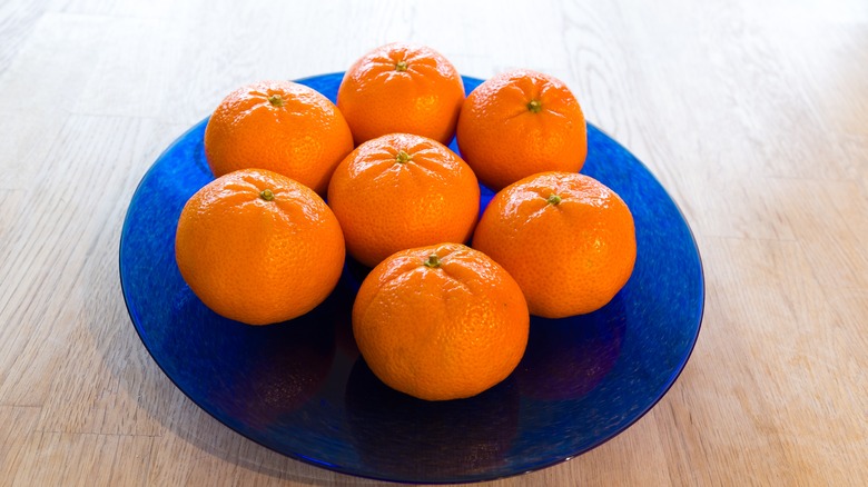 Clementines on a blue plate