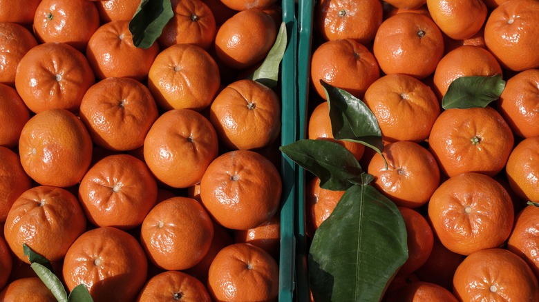 Freshly picked tangerines in boxes