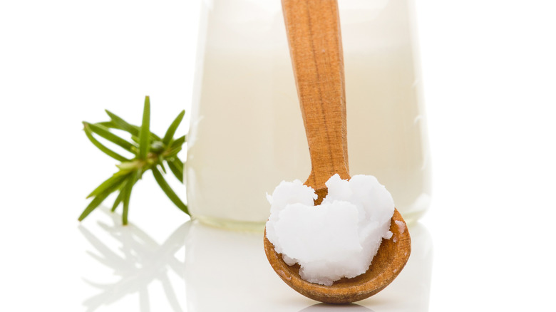 a wooden spoon with a scoop of solid bacon fat.