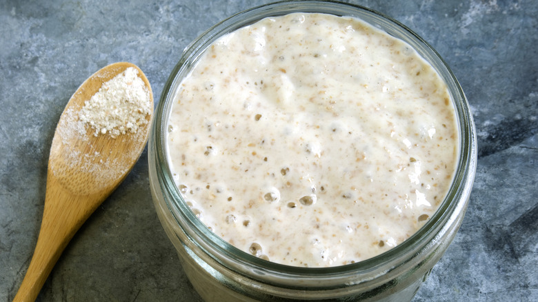 The top view of a starter and a spoon with flour for feeding on a blue counter