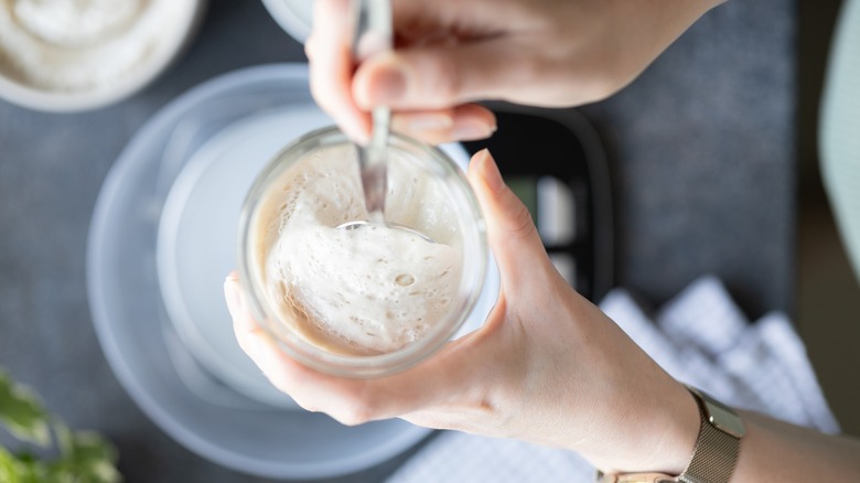 Hands stir a sourdough starter
