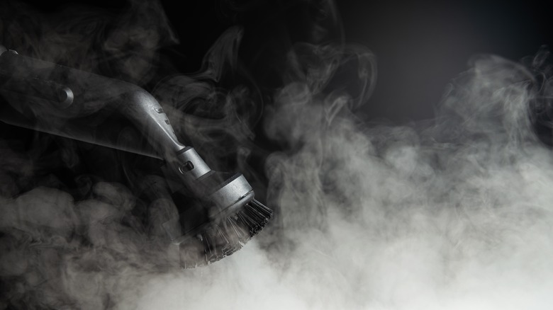 steam cleaner and steam
