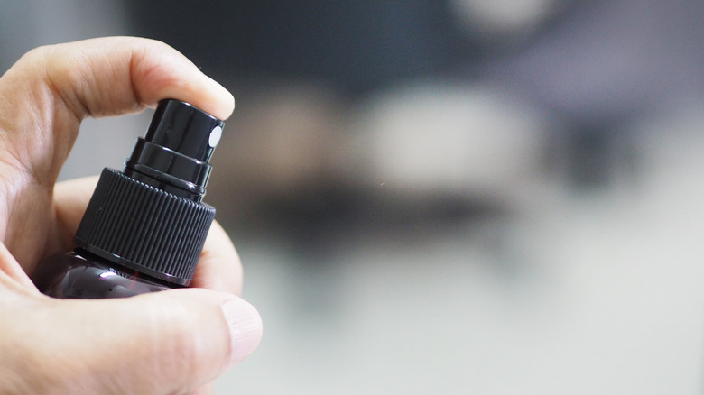Person holding spray bottle