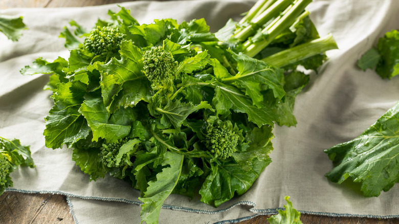 bunch of broccoli rabe