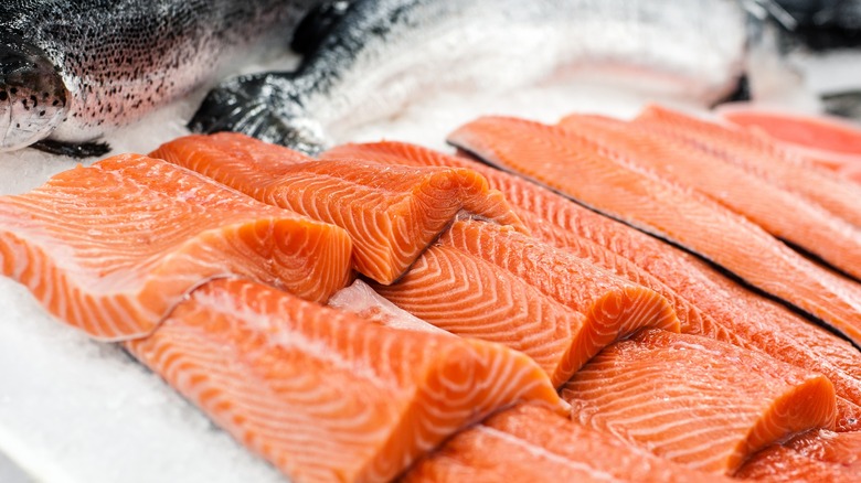 Salmon Filets on Ice