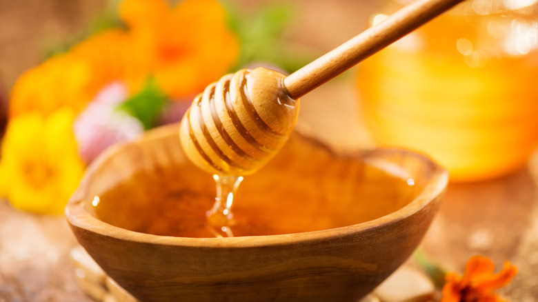 Honey dipper in honey