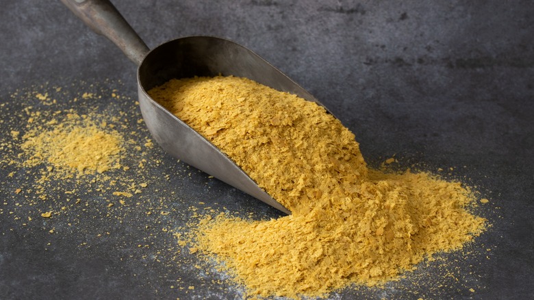 nutritional yeast spilled from scoop