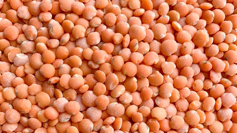 Uncooked rose hominy kernels