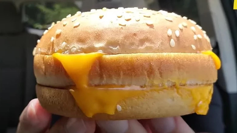 Cheese on a sesame seed bun
