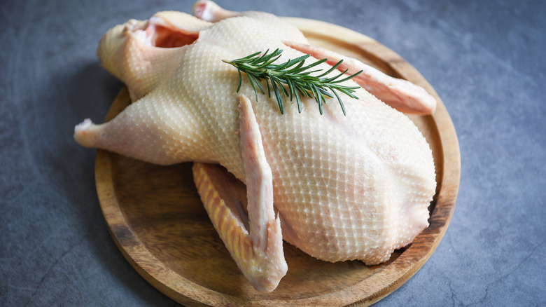 raw duck with herbs