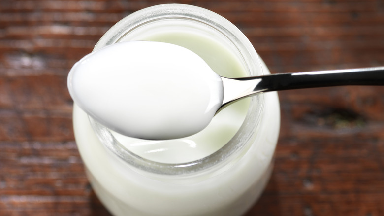 A spoonful and a bowl of yogurt on a table