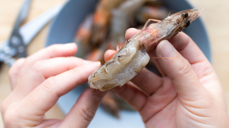 peeling raw shrimp